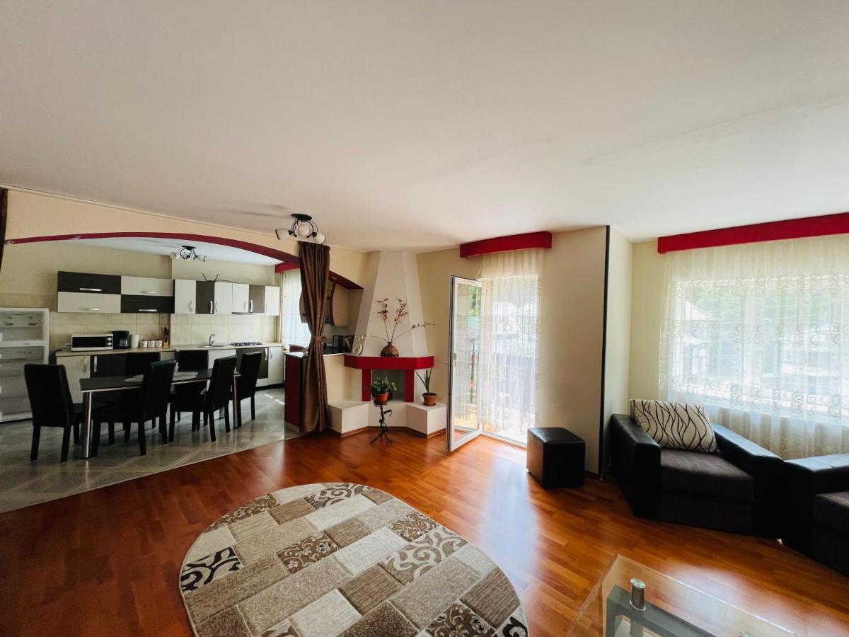 Apartament Extralarge Buşteni 外观 照片