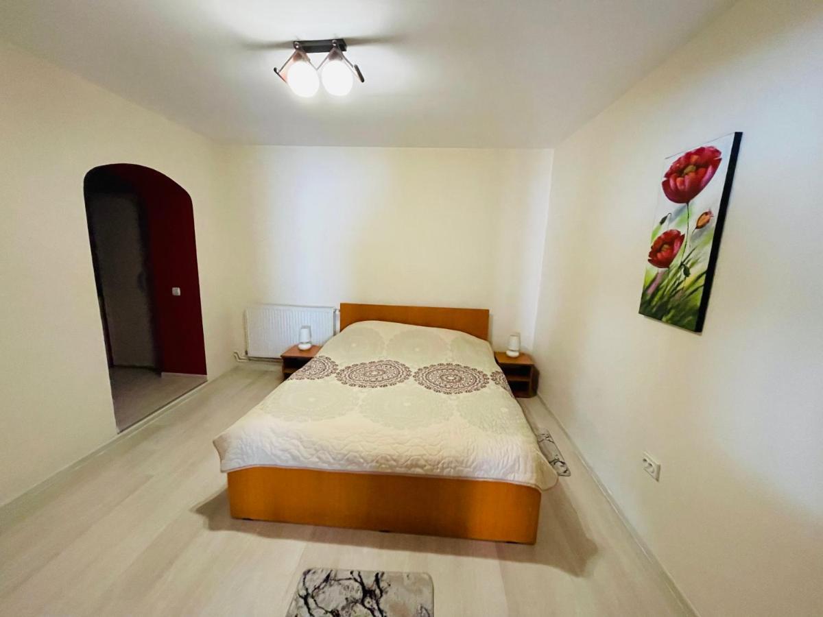 Apartament Extralarge Buşteni 外观 照片